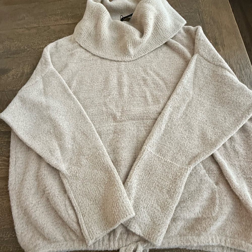 Express Soft Beige Cowl Neck Sweater
